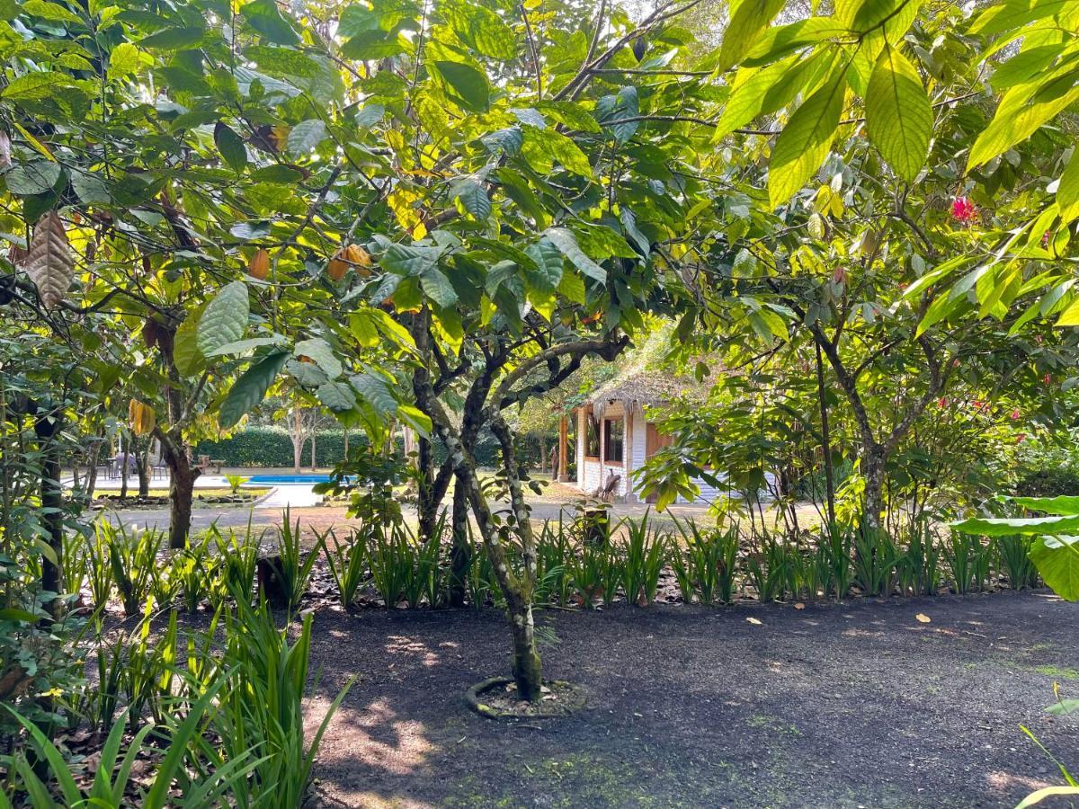 El Campito Lodge Ayampe Buitenkant foto